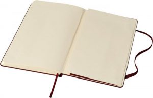 Moleskine amaranth_3