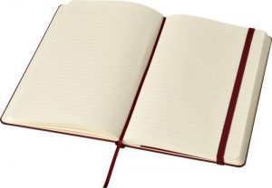 Moleskine amaranth_4