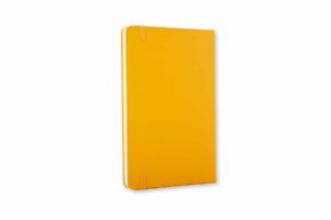 Orang_yellow_6