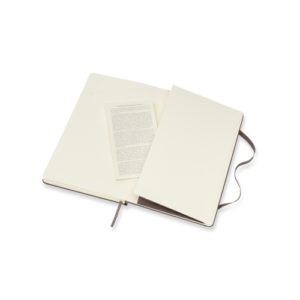 Moleskine_Earth_Brown_4