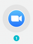 Zoom Skype