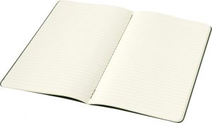 Moleskine cahier groen_5