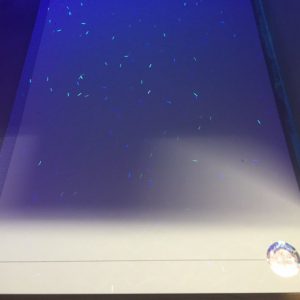 UV vezels diploma waardepapier